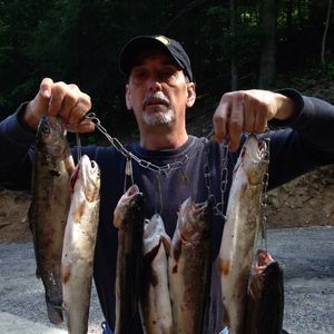 Meet your Posher, Terry